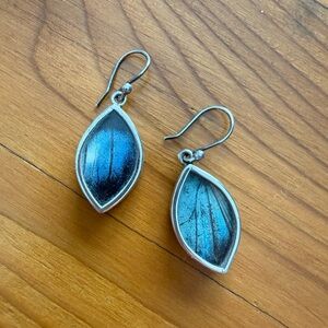 Butterfly wing Earrings 🦋
